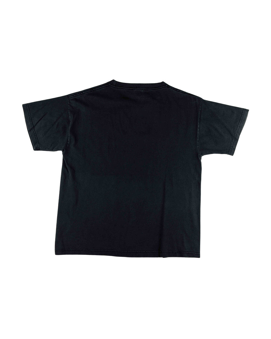 Commons Studios Variable Niagra Falls Tee